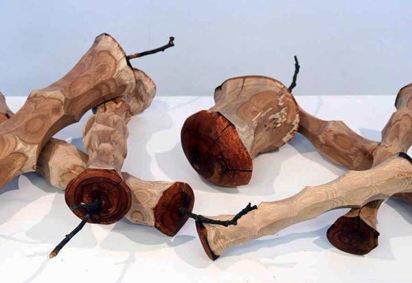 Heinonen: Intohimon hedelmät, 2015