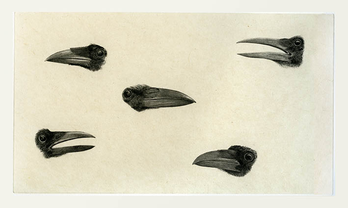 Elämän arvaamattomuudesta II, 2017